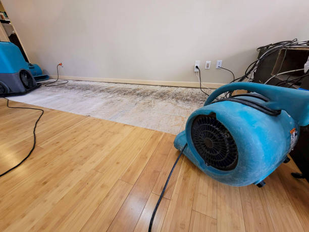 Professional Structural Drying technician working in Eagle Point, OR
